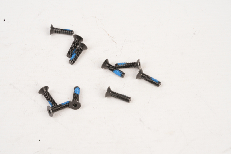 SEGWAY Schraube 4*16 E2 PRO D (Original)