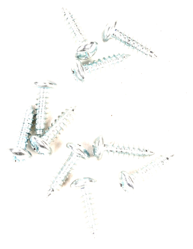 SEGWAY KREUZSCHLITZ-BLECHSCHRAUBEN MIT LINSENKOPF BLAU-WEISS VERZINKT MAX G2 D (Original)