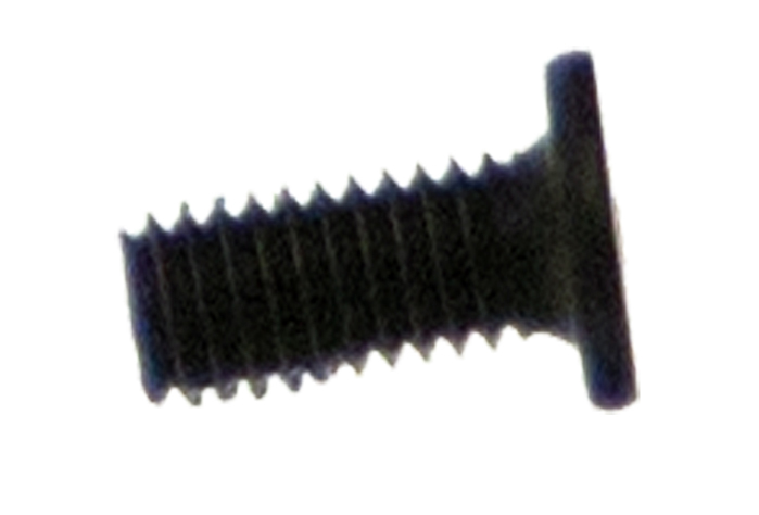 Gateway Schraube 2,5 x 7 mm Flachkopf / Tellerkopf Gateway NE574 Serie (Original)