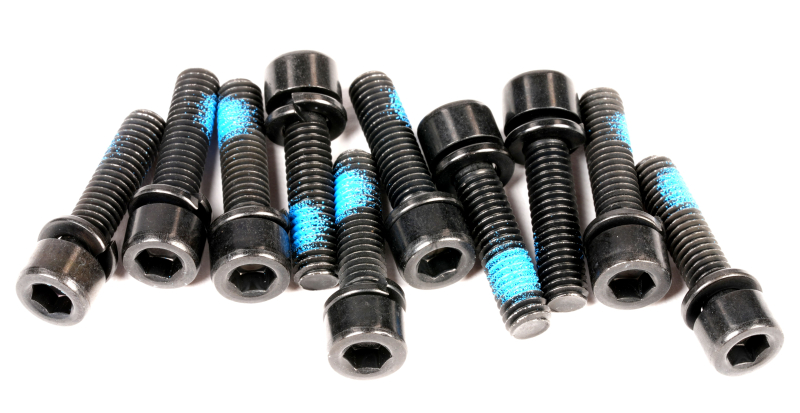 SEGWAY ZYLINDERKOPF INBUSSCHRAUBEN M6X25 MIT FEDERRING (10 STK.) MAX G30D II (Original)