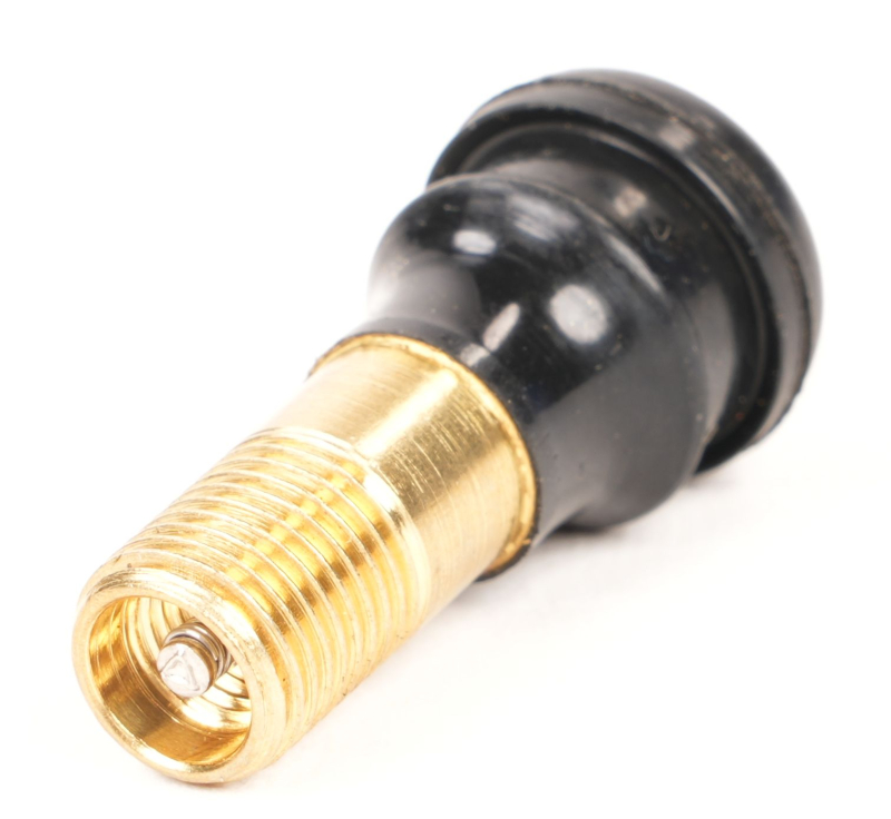 SEGWAY F60 MOTORVENTILDÜSE F2D (Original)