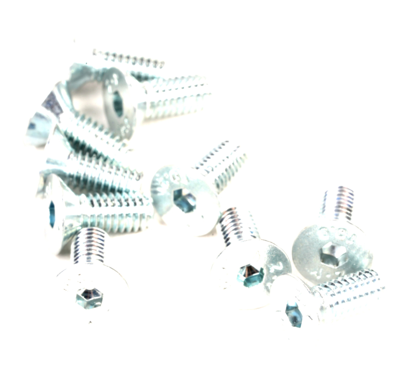 SEGWAY Schraube 4*10 P65D (Original)