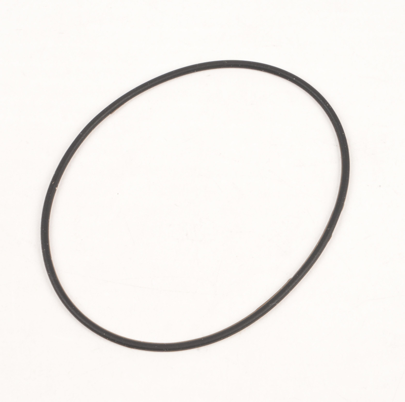 SEGWAY Instrumentenanschluss Dichtungsring E3 PRO D (Original)