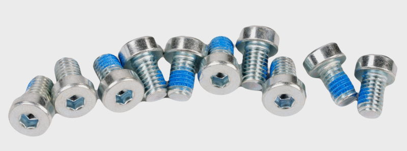 SEGWAY ZYLINDERSCHRAUBE MIT INNENSECHSKANT M5X8 F2D (Original)