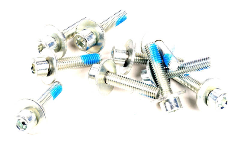 SEGWAY SCHRAUBENSATZ M6X30 F2D (Original)