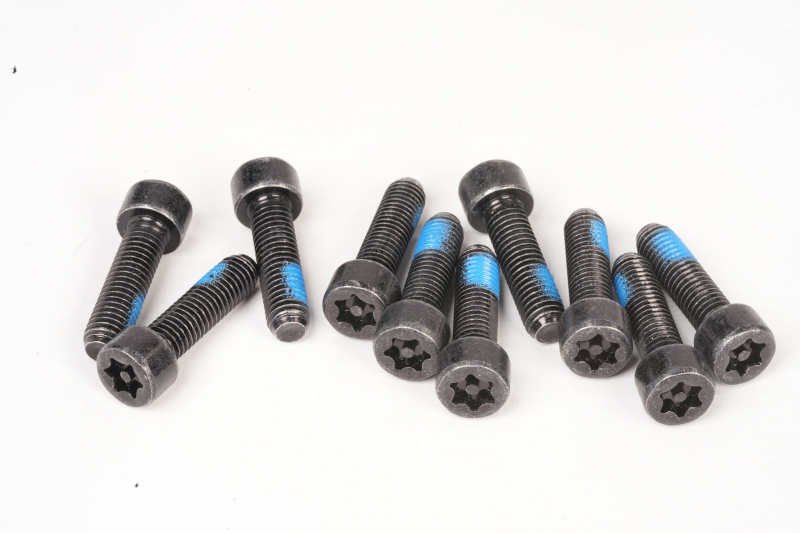 SEGWAY INNENSECHSKANTSCHRAUBEN DIEBSTAHLSICHERUNG ZYLINDERKOPF KOHLENSTOFFSTAHL M8X30 GT1 D (Original)