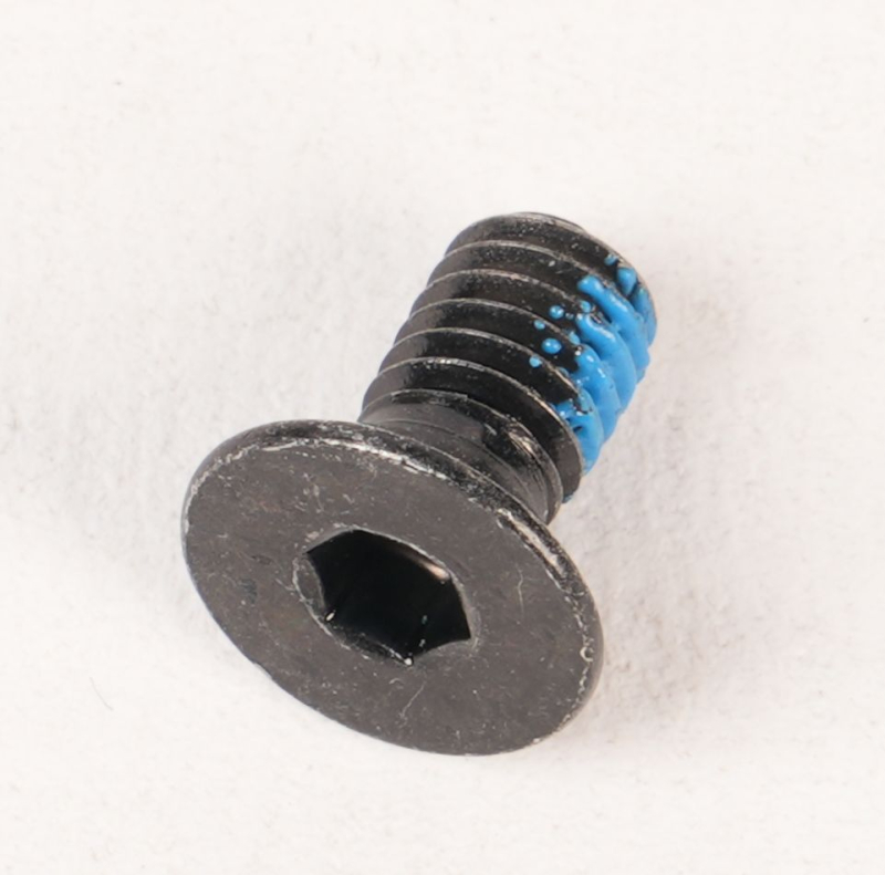 SEGWAY Schraube M4X8 E3 PRO D (Original)